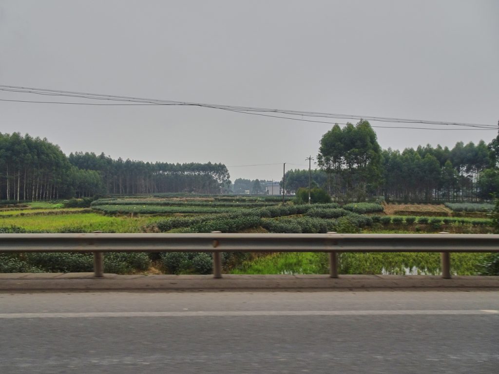 CHINA-2017-11-064 CHINA-2017-11-064