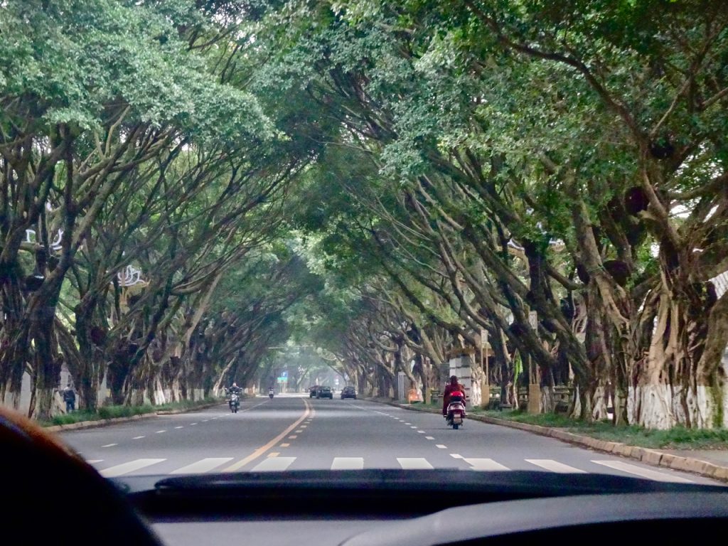 CHINA-2017-11-065 CHINA-2017-11-065