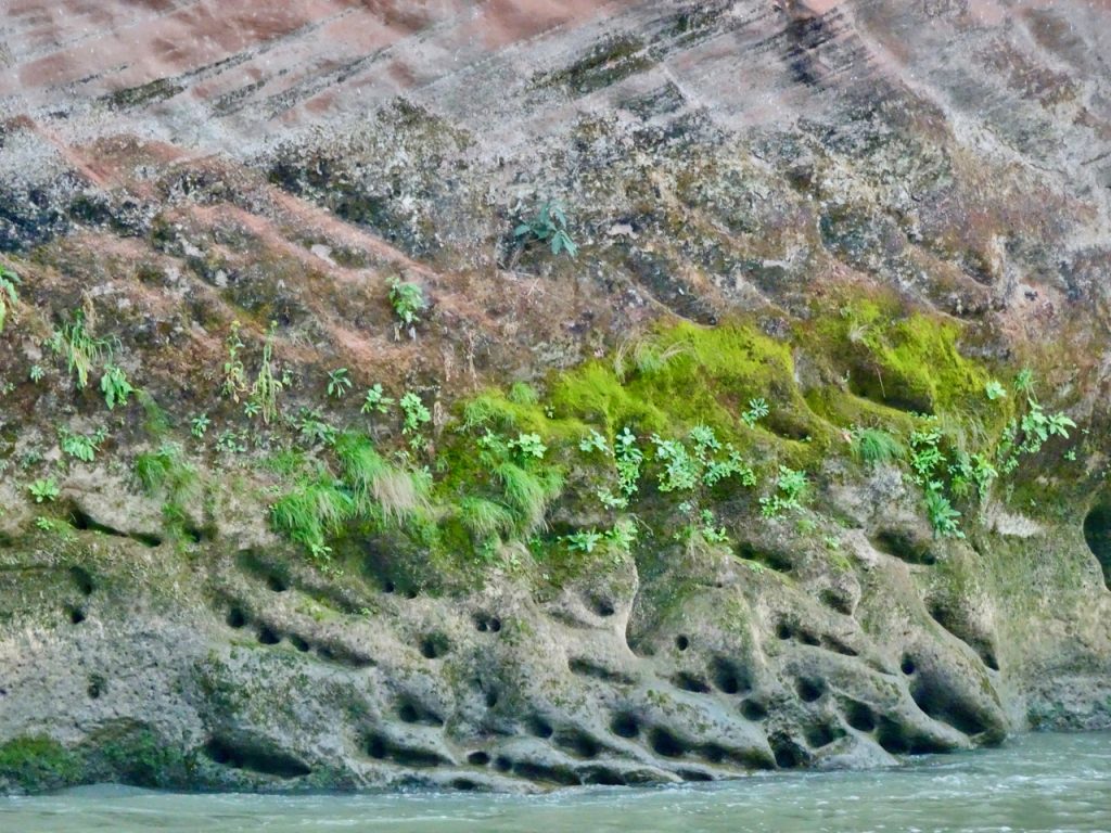 CHINA-2017-11-073 CHINA-2017-11-073