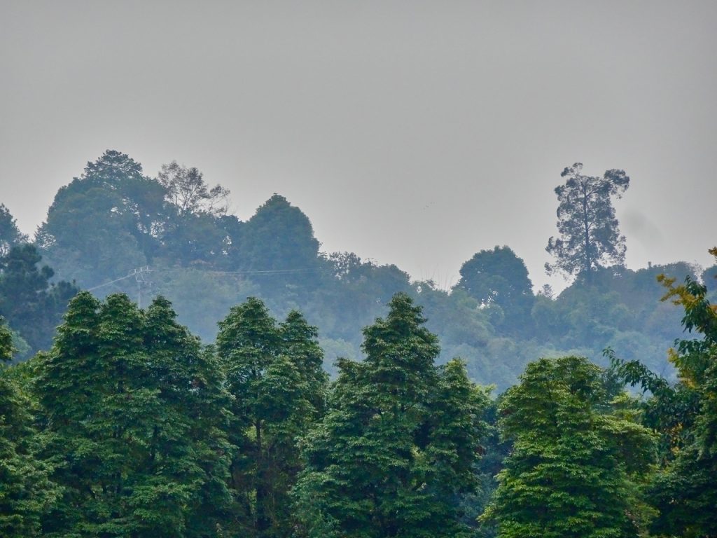 CHINA-2017-11-087 CHINA-2017-11-087