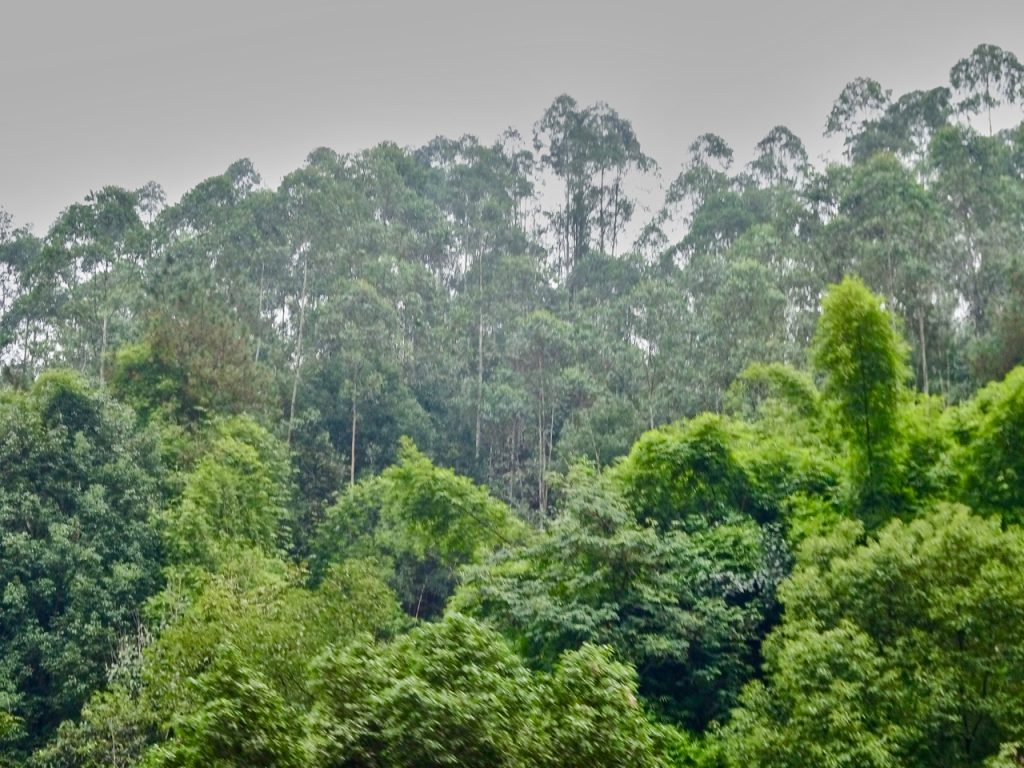 CHINA-2017-11-103 CHINA-2017-11-103