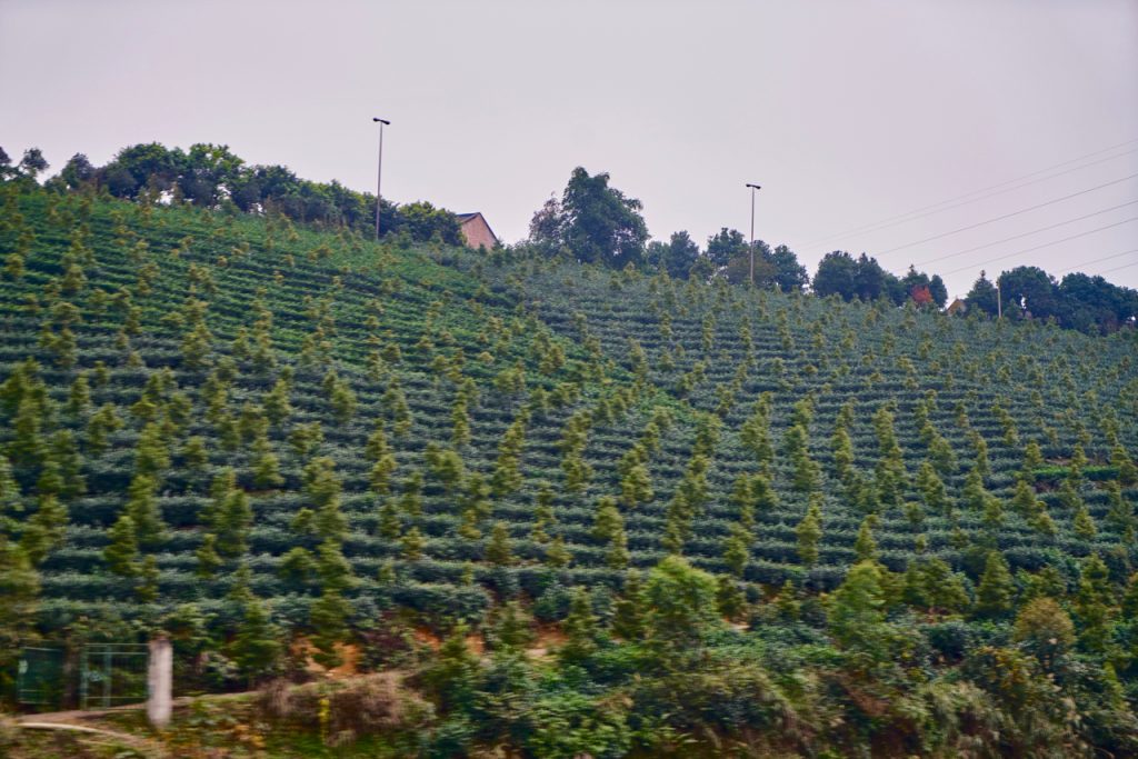 CHINA-2017-11-104 CHINA-2017-11-104