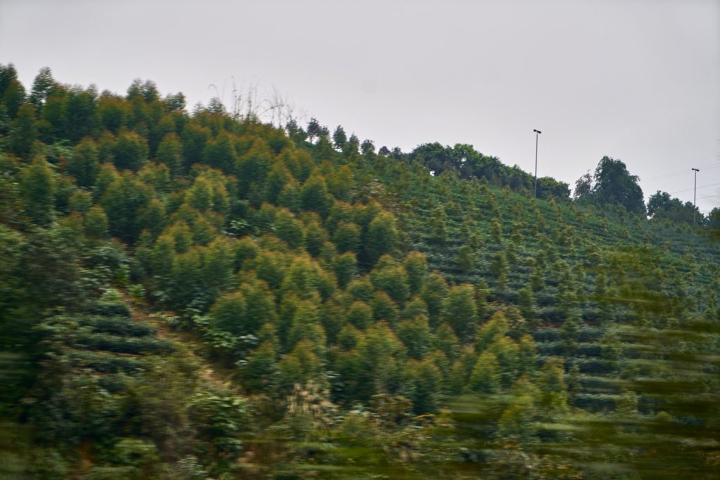 CHINA-2017-11-105 CHINA-2017-11-105