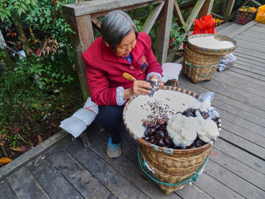 CHINA-2017-12-008 CHINA-2017-12-008