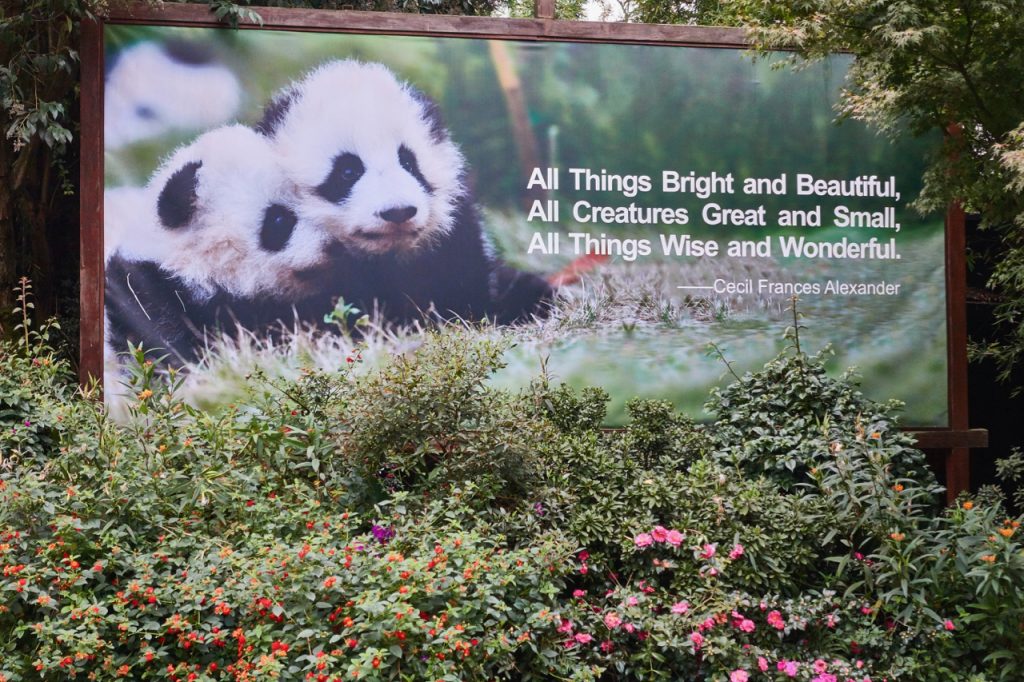 CHINA-2017-12-014 CHINA-2017-12-014