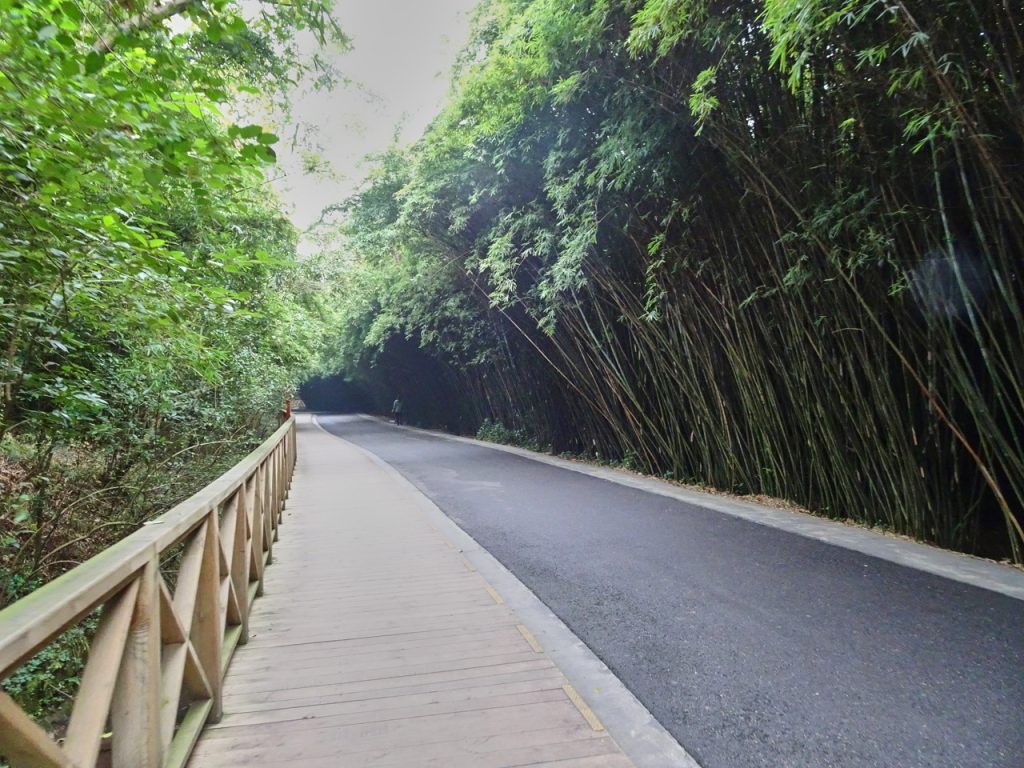 CHINA-2017-12-017 CHINA-2017-12-017