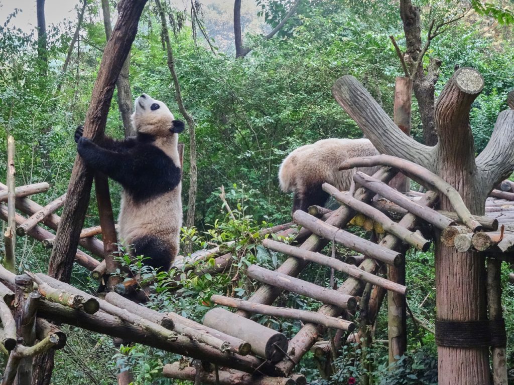 CHINA-2017-12-032 CHINA-2017-12-032