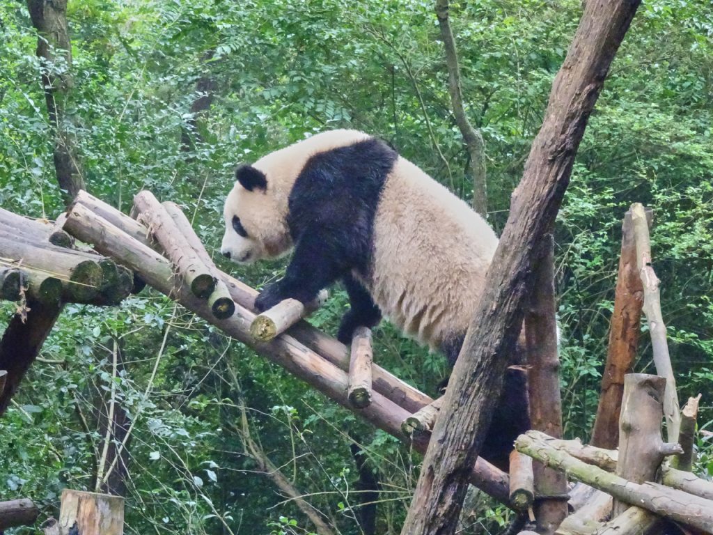 CHINA-2017-12-033 CHINA-2017-12-033