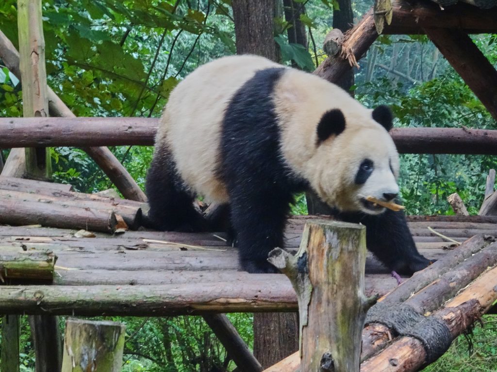 CHINA-2017-12-035 CHINA-2017-12-035