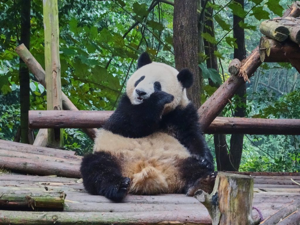 CHINA-2017-12-036 CHINA-2017-12-036