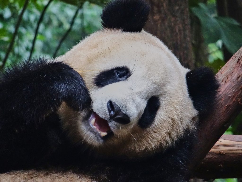 CHINA-2017-12-039 CHINA-2017-12-039