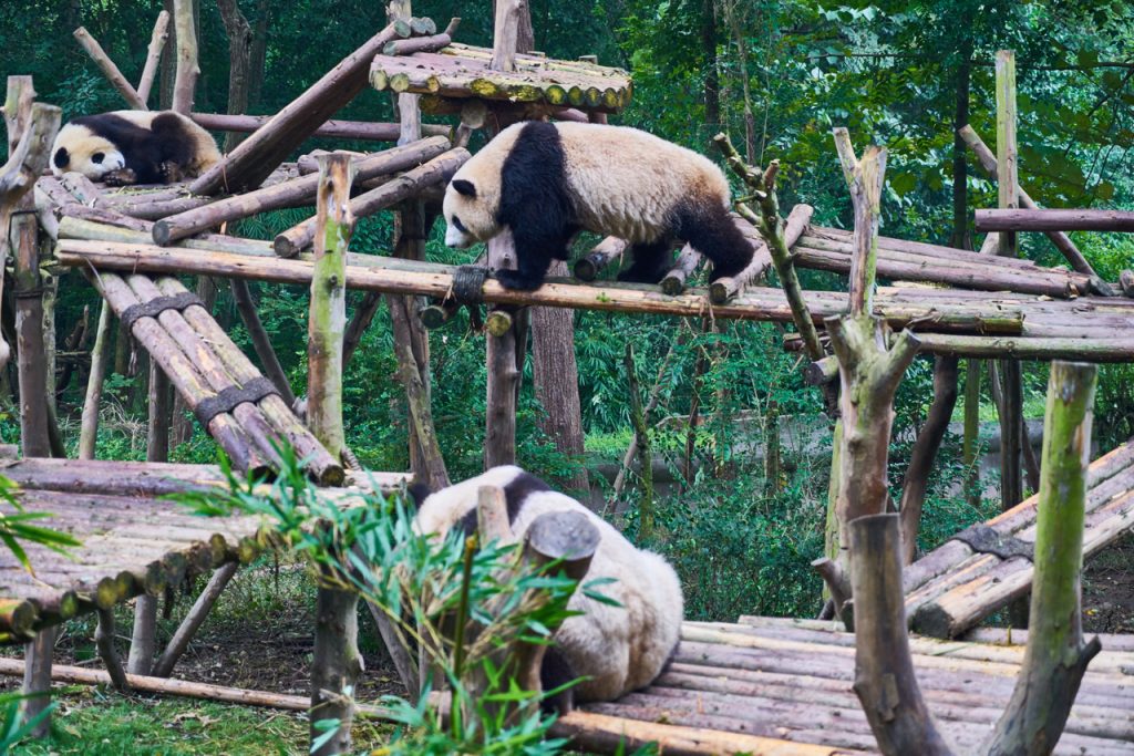 CHINA-2017-12-041 CHINA-2017-12-041