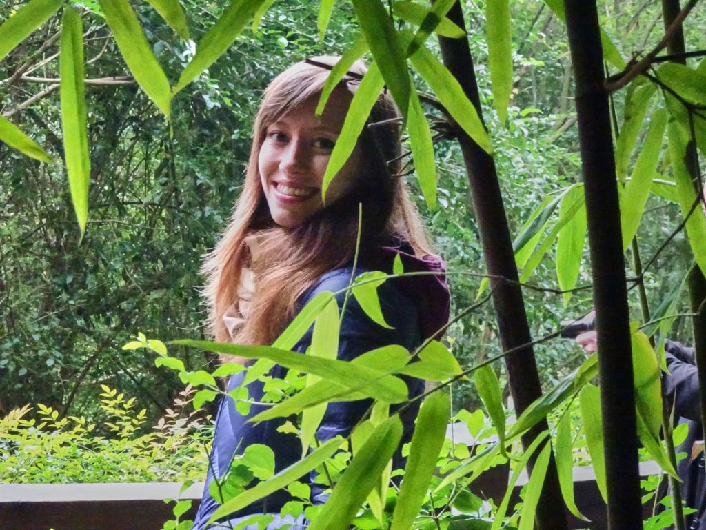 CHINA-2017-12-047 CHINA-2017-12-047