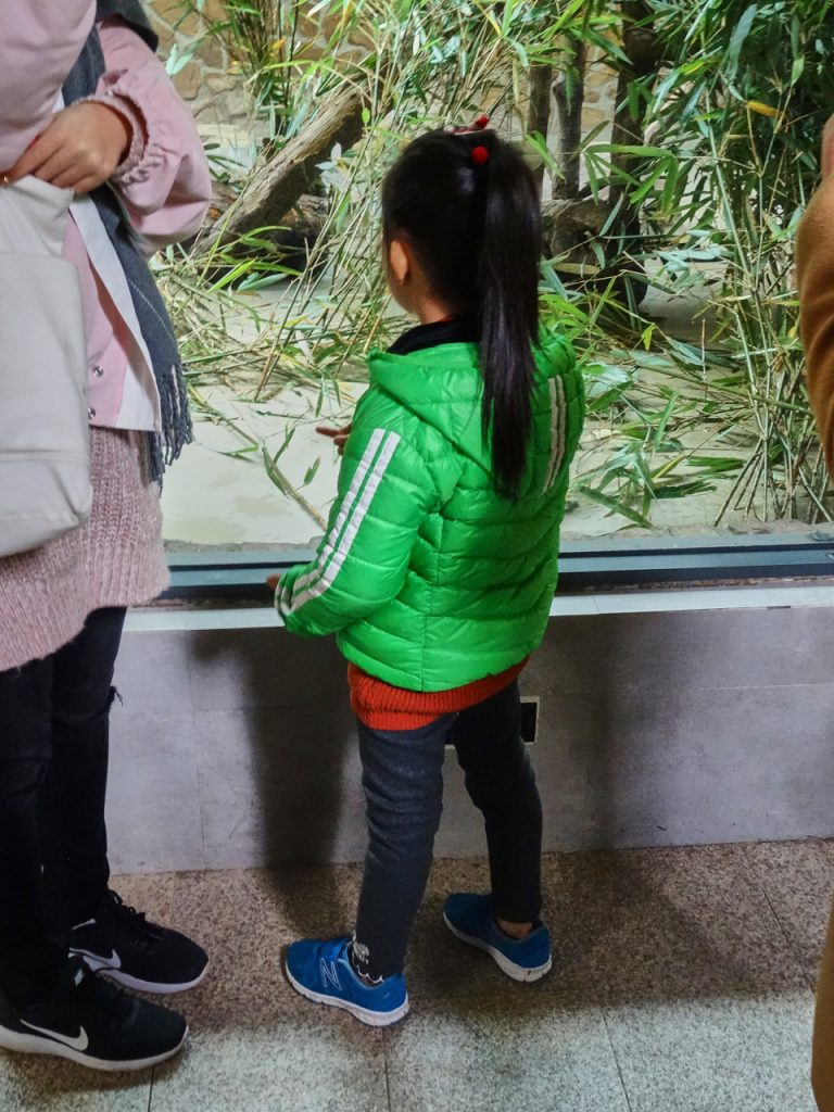 CHINA-2017-12-049 CHINA-2017-12-049