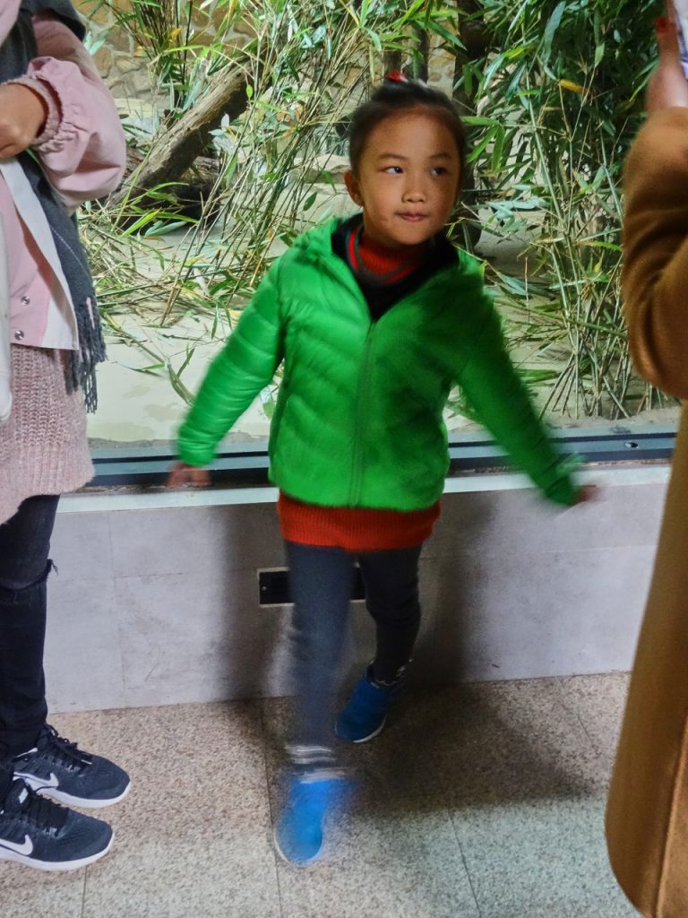 CHINA-2017-12-050 CHINA-2017-12-050