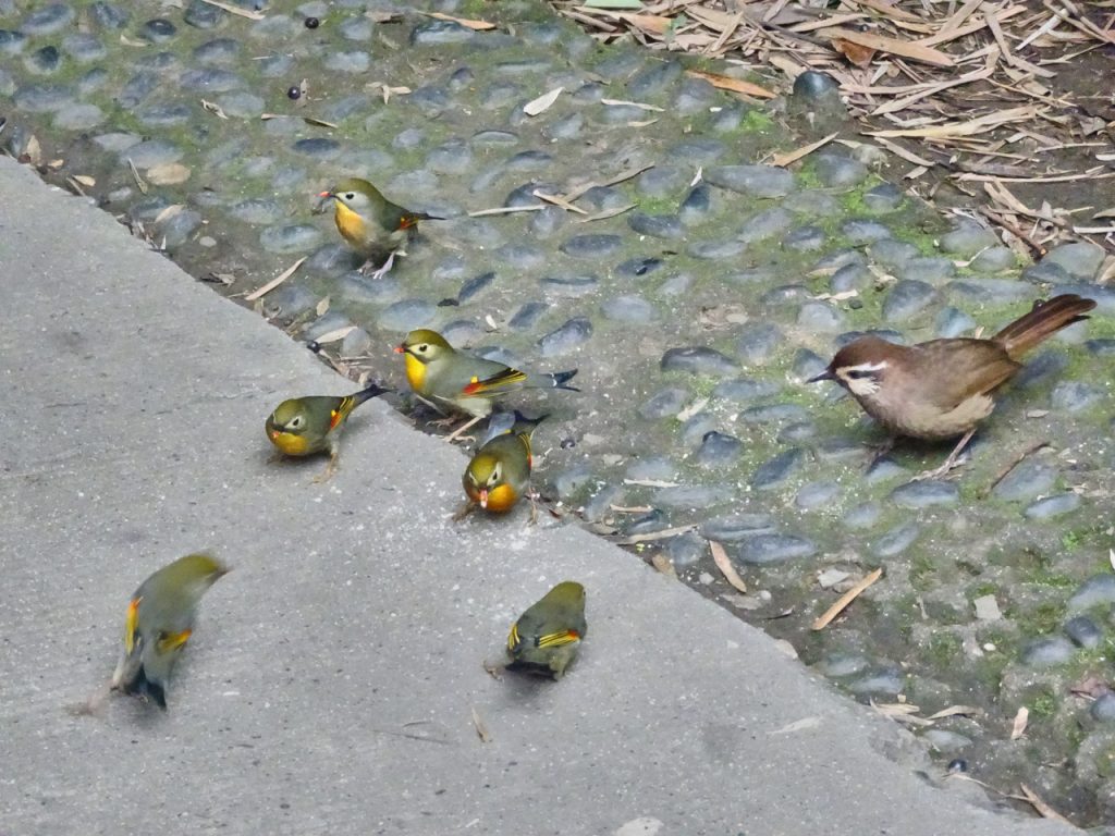 CHINA-2017-12-057 CHINA-2017-12-057