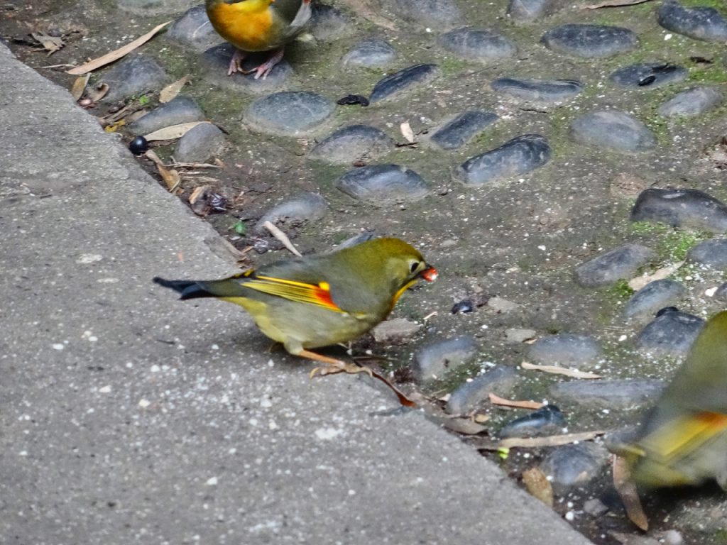 CHINA-2017-12-058 CHINA-2017-12-058
