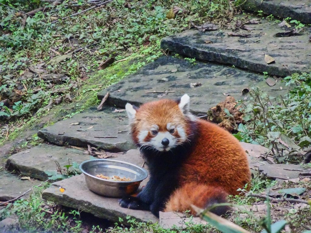 CHINA-2017-12-067 CHINA-2017-12-067