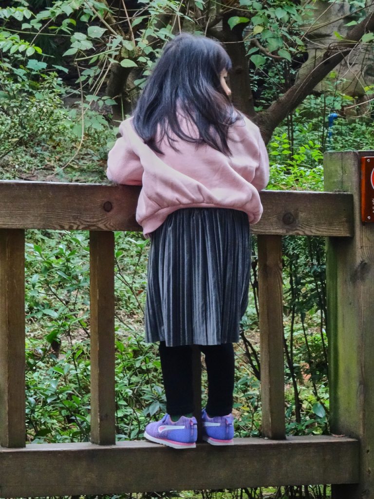 CHINA-2017-12-071 CHINA-2017-12-071