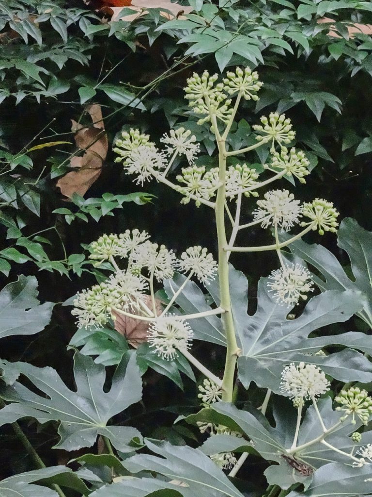 CHINA-2017-12-076 CHINA-2017-12-076