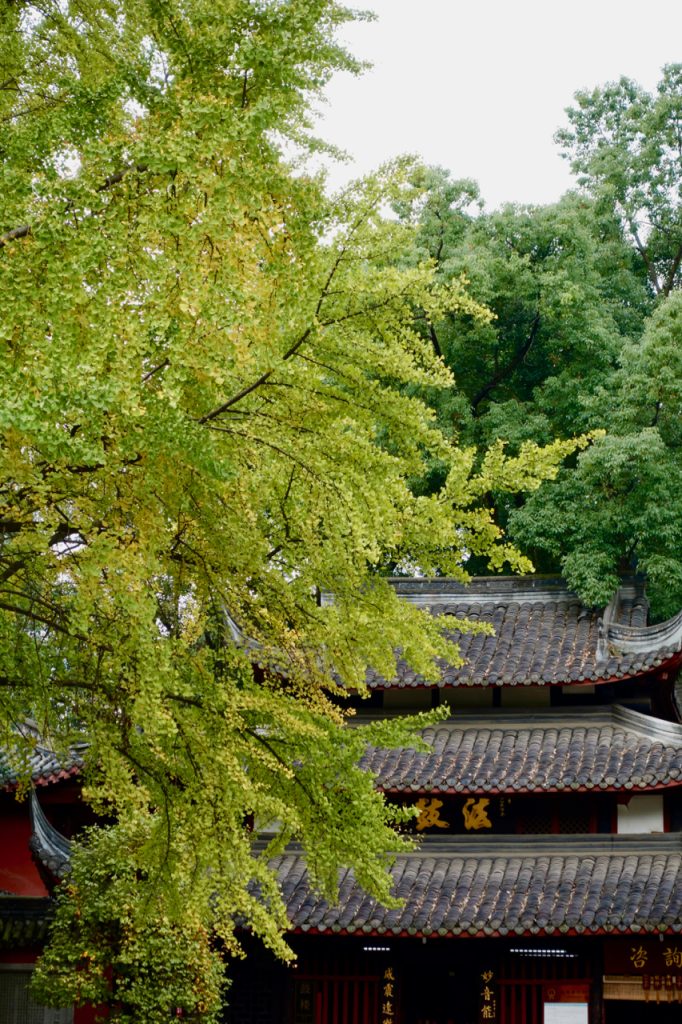 CHINA-2017-13-035 CHINA-2017-13-035