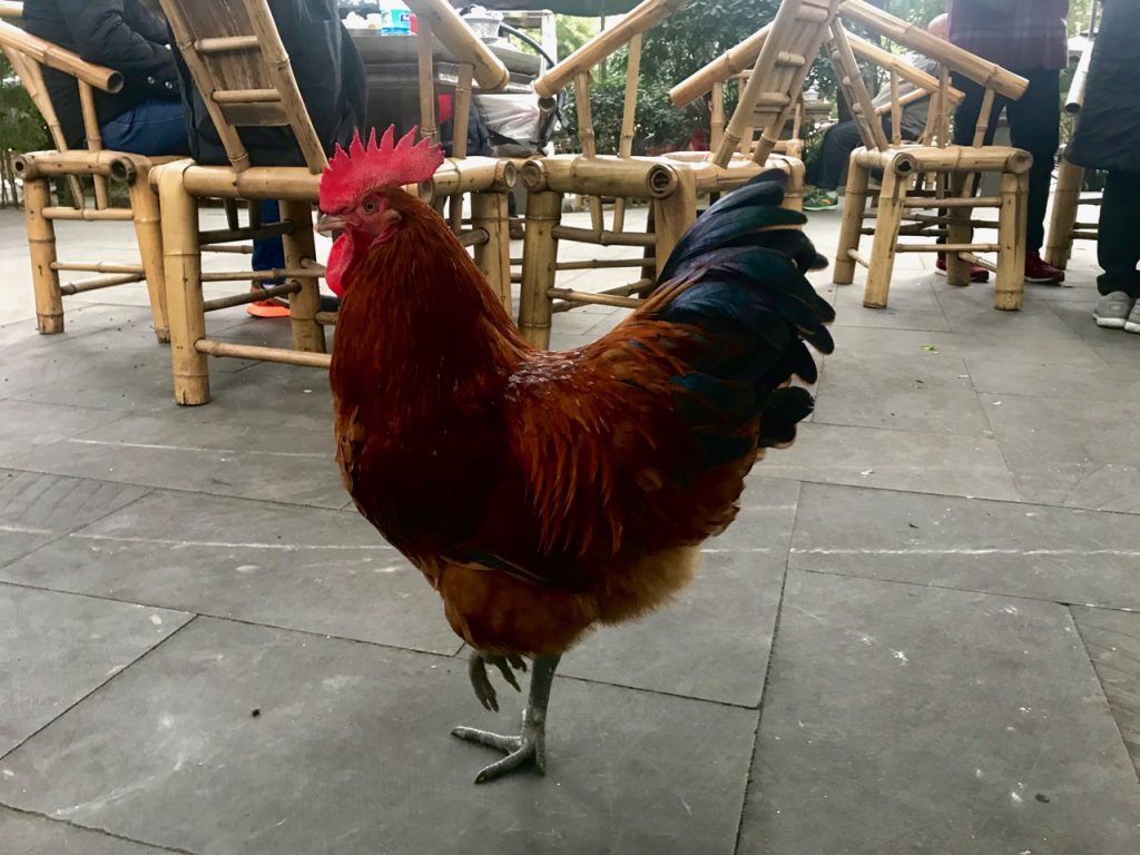 CHINA-2017-13-047 CHINA-2017-13-047