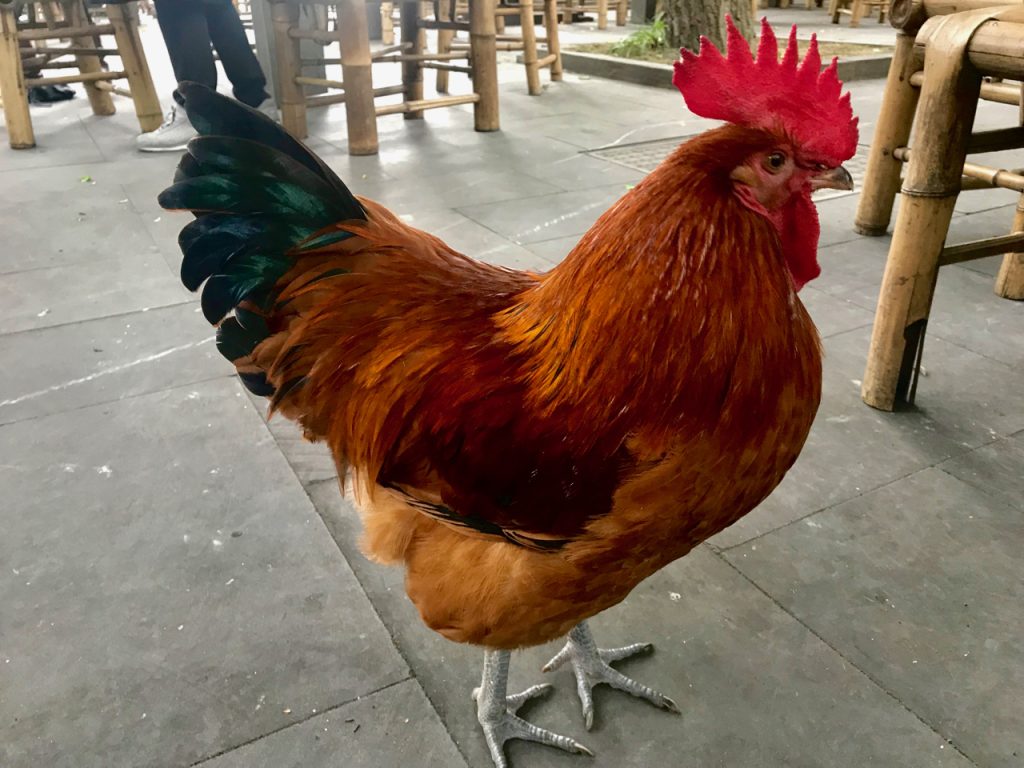 CHINA-2017-13-053 CHINA-2017-13-053