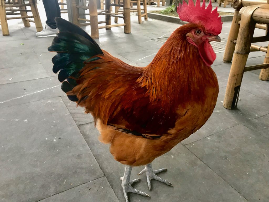 CHINA-2017-13-054 CHINA-2017-13-054