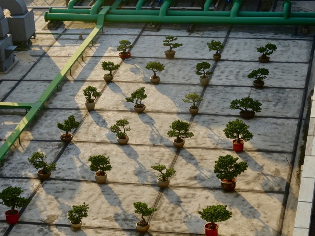 CHINA-2017-14-005 CHINA-2017-14-005