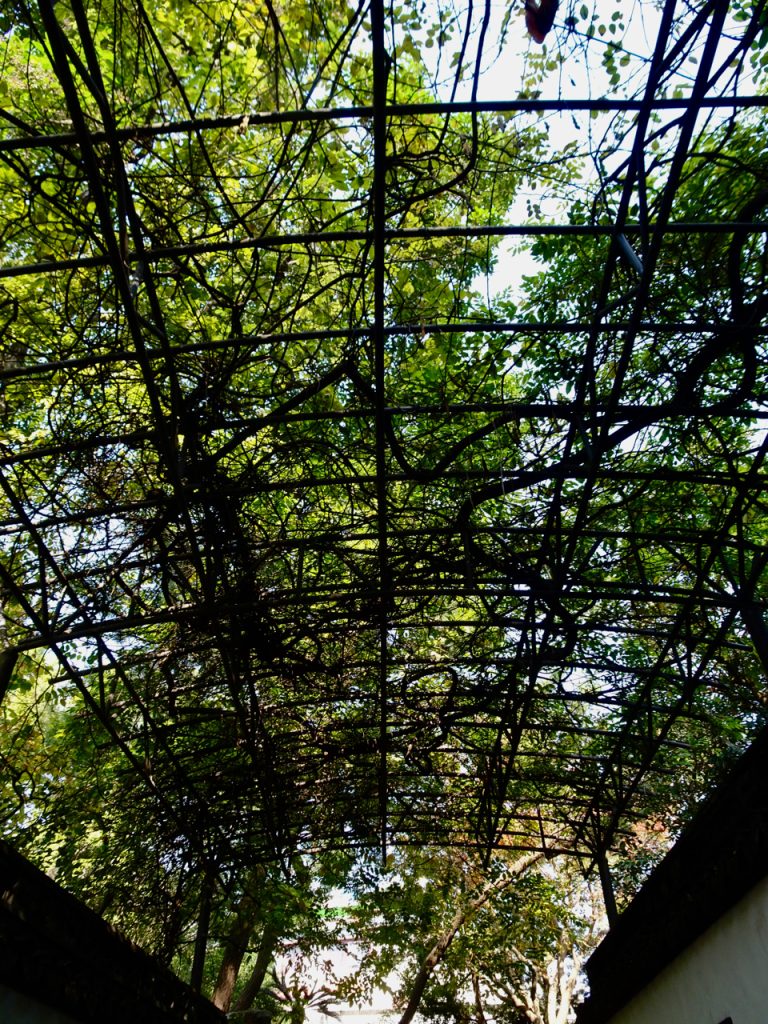 CHINA-2017-14-028 CHINA-2017-14-028