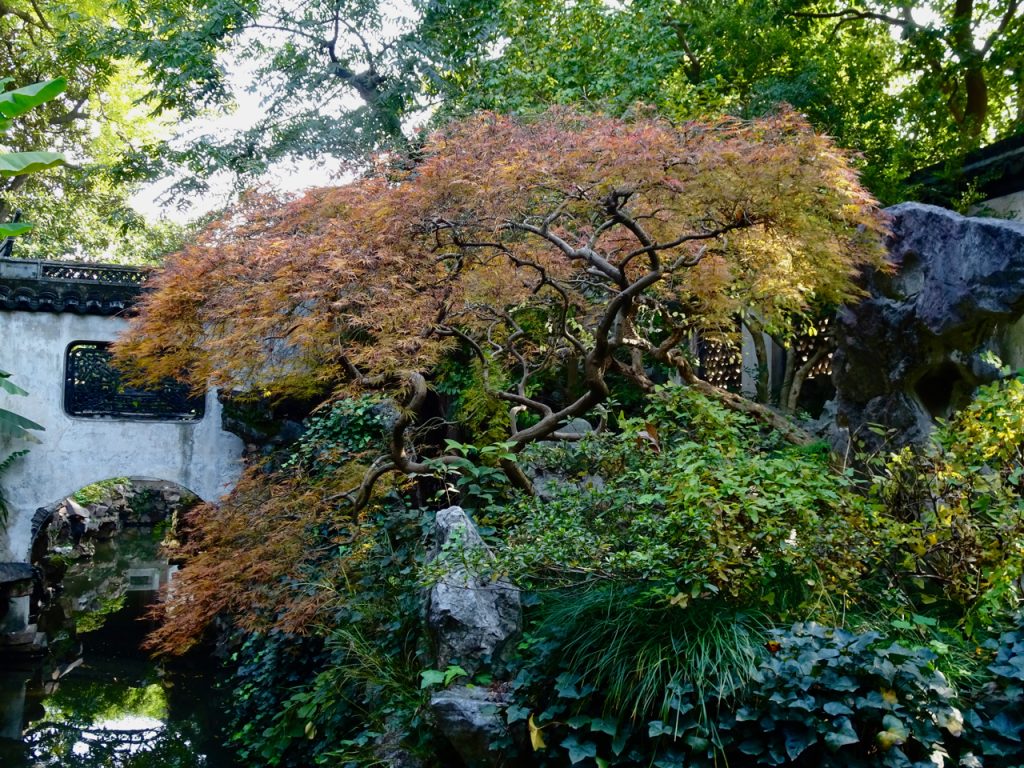 CHINA-2017-14-031 CHINA-2017-14-031