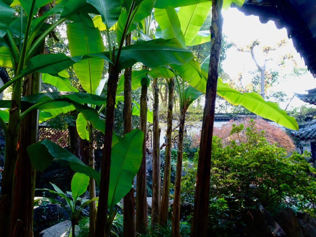 CHINA-2017-14-034 CHINA-2017-14-034