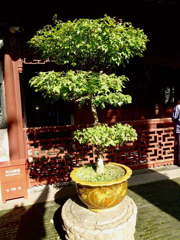 CHINA-2017-14-036 CHINA-2017-14-036