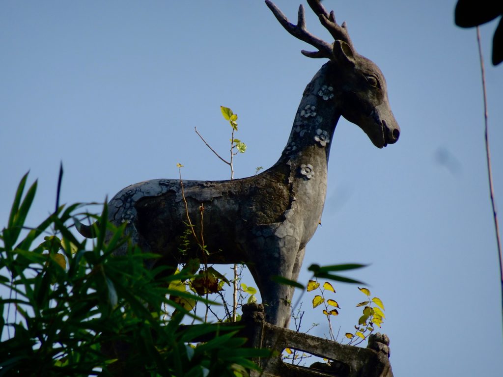 CHINA-2017-14-038 CHINA-2017-14-038