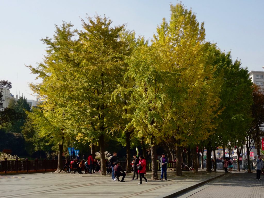 CHINA-2017-14-124 CHINA-2017-14-124