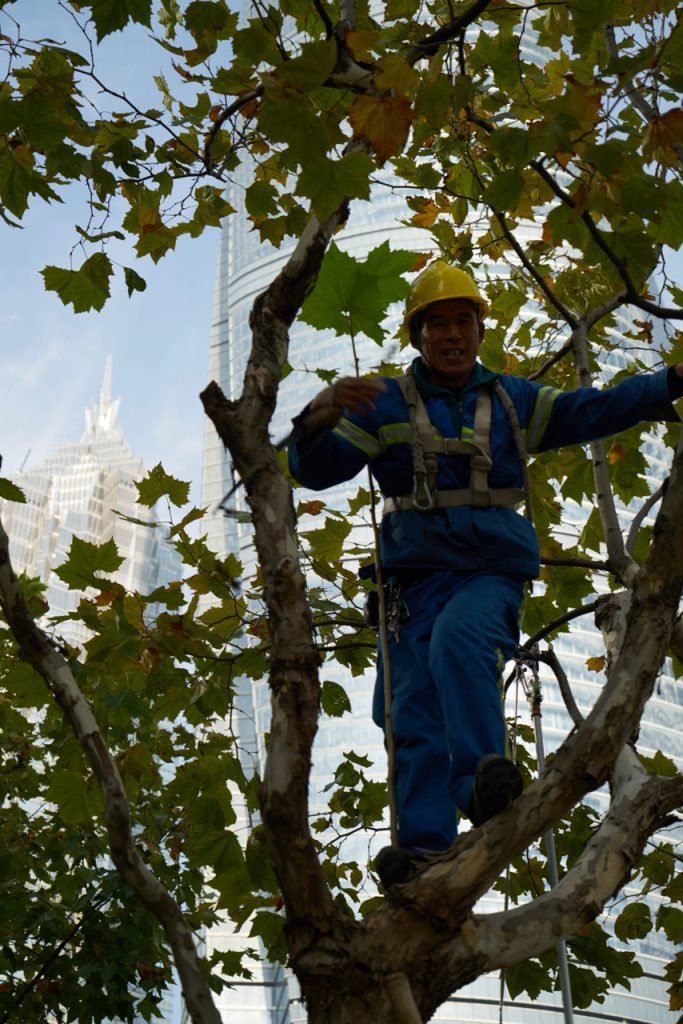 CHINA-2017-14-155 CHINA-2017-14-155