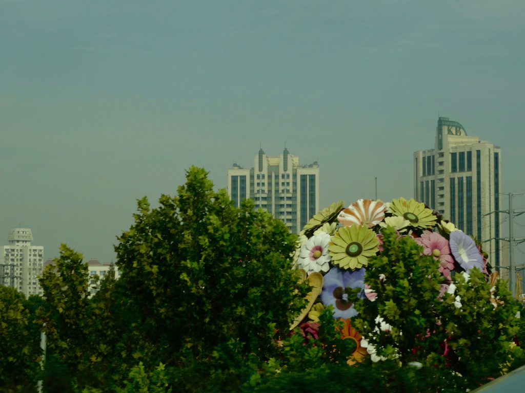 CHINA-2017-15-004 CHINA-2017-15-004