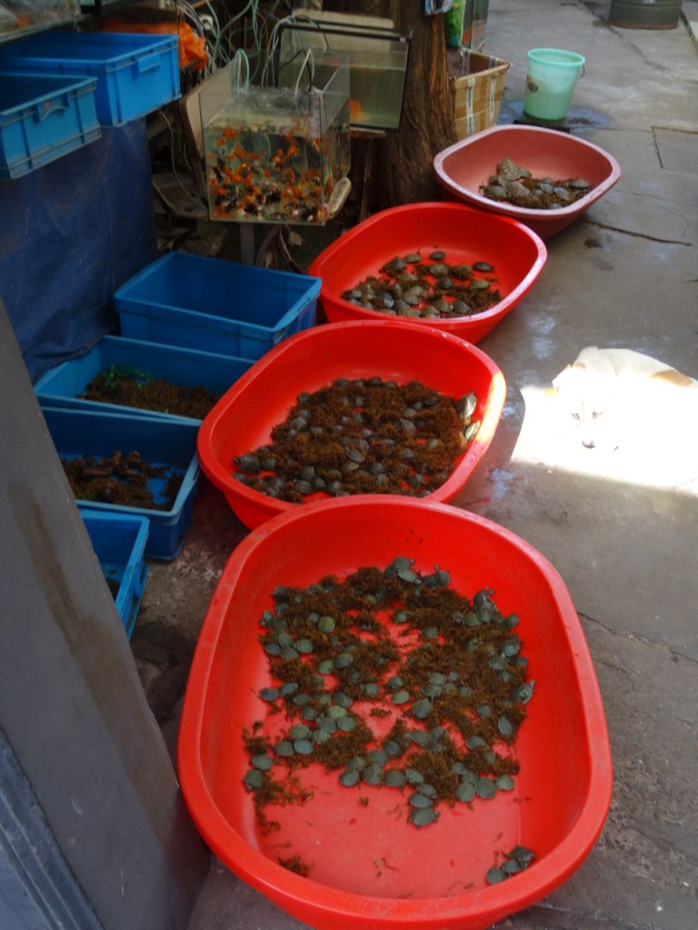 CHINA-2017-15-012 CHINA-2017-15-012