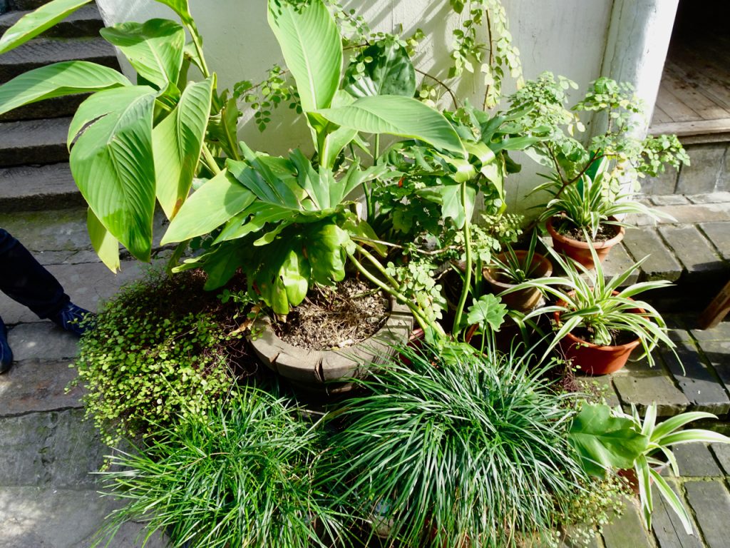 CHINA-2017-15-021 CHINA-2017-15-021