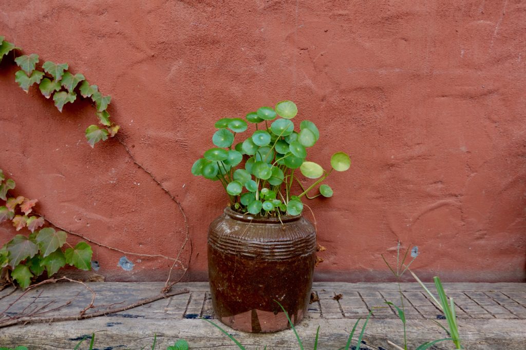 CHINA-2017-15-048 CHINA-2017-15-048