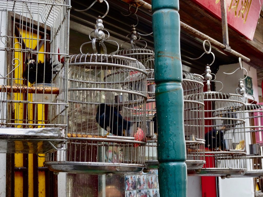 CHINA-2017-15-057 CHINA-2017-15-057