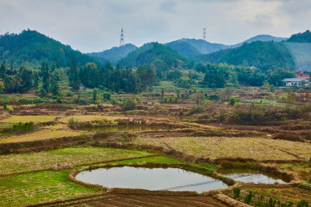 CHINA-2017-16-031 CHINA-2017-16-031