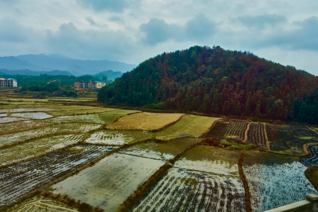 CHINA-2017-16-035 CHINA-2017-16-035