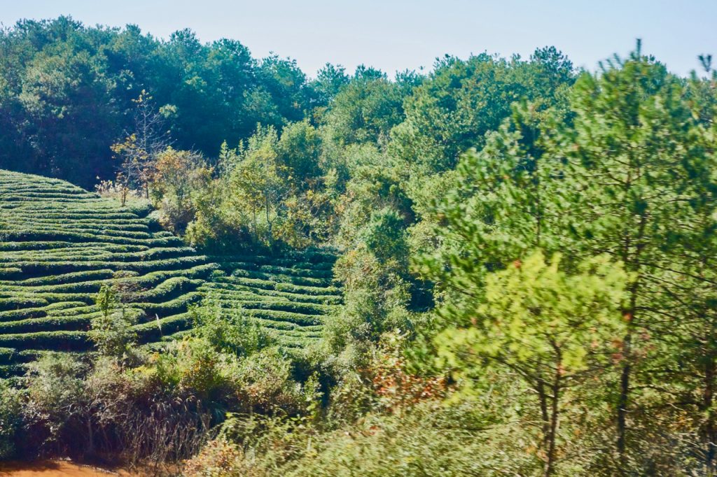 CHINA-2017-16-056 CHINA-2017-16-056