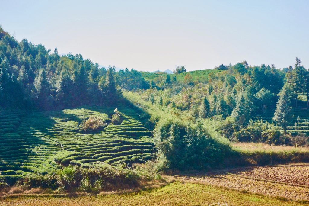 CHINA-2017-16-057 CHINA-2017-16-057
