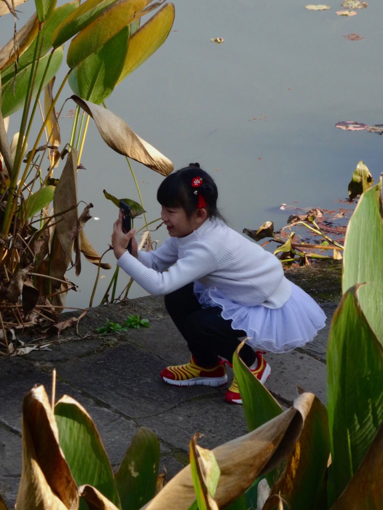 CHINA-2017-16-071 CHINA-2017-16-071