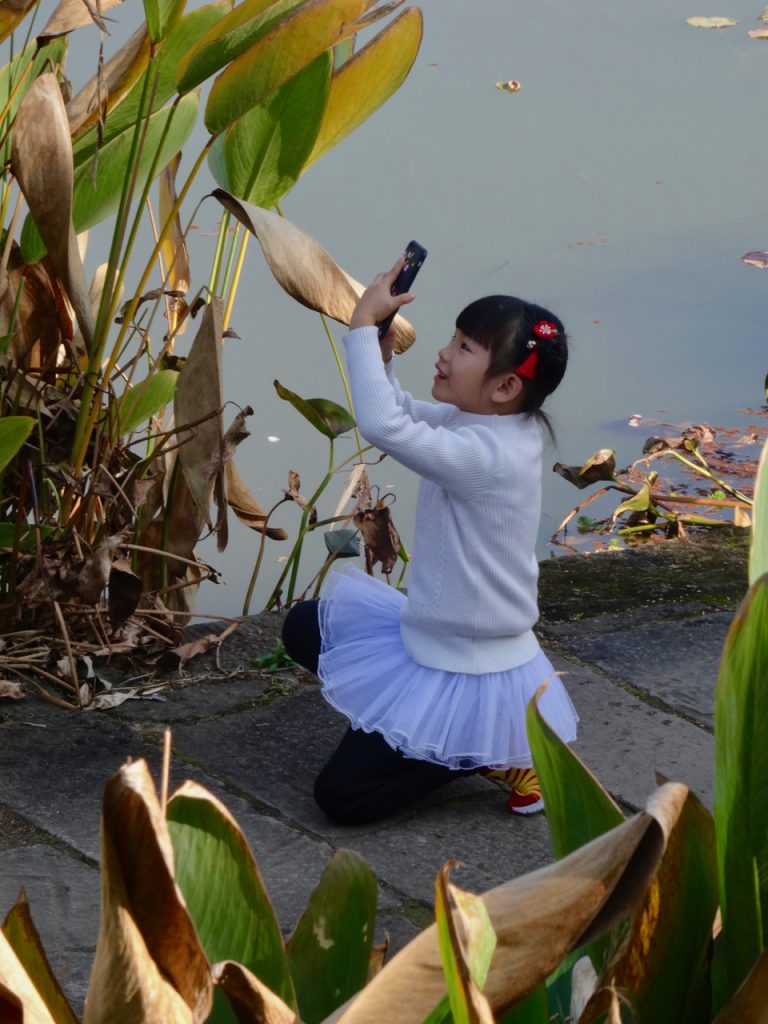 CHINA-2017-16-072 CHINA-2017-16-072
