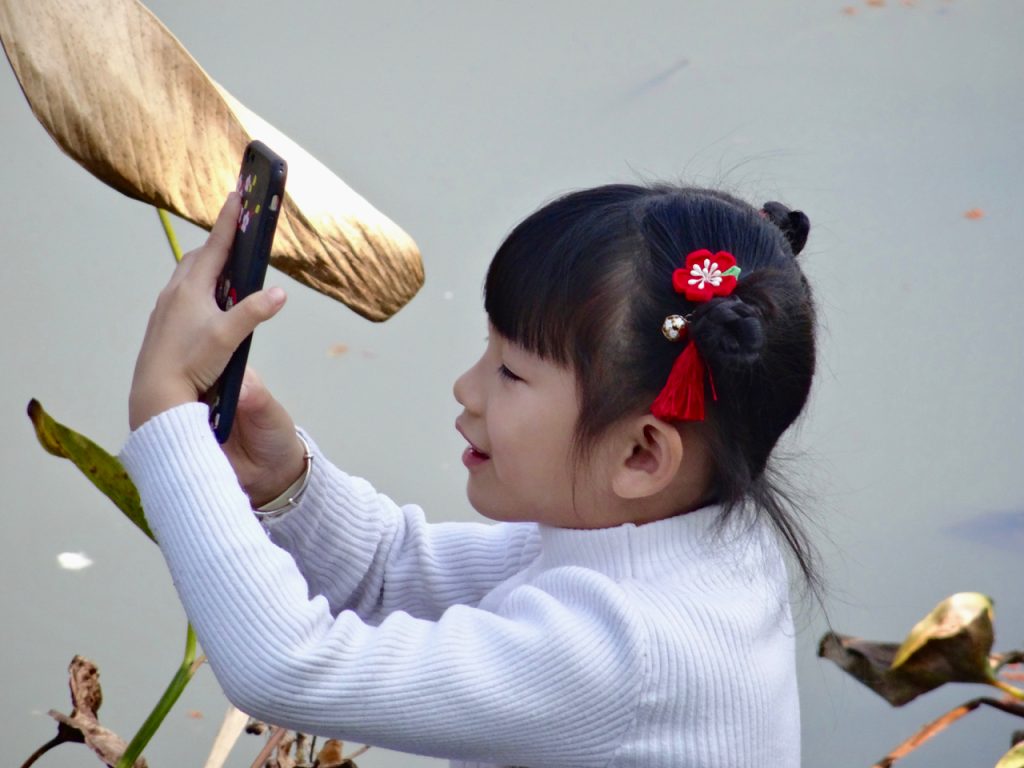 CHINA-2017-16-073 CHINA-2017-16-073