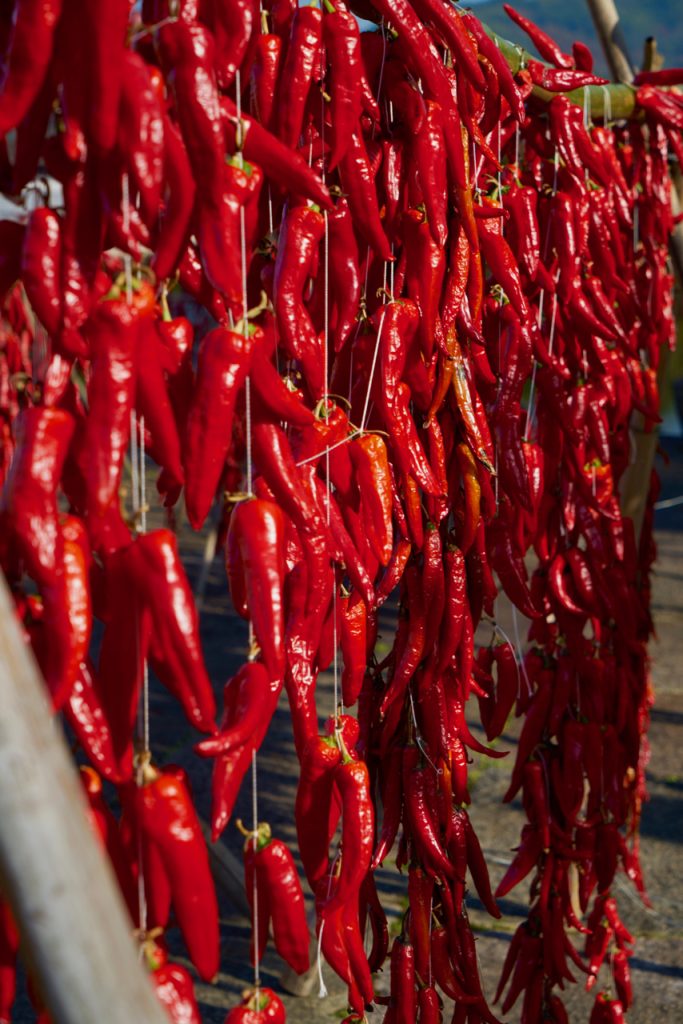 CHINA-2017-16-088 CHINA-2017-16-088