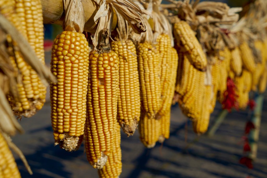 CHINA-2017-16-090 CHINA-2017-16-090